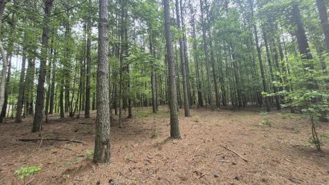 4560 Raulston Falls Road Jasper TN 37347