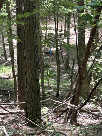 4560 Raulston Falls Road Jasper TN 37347