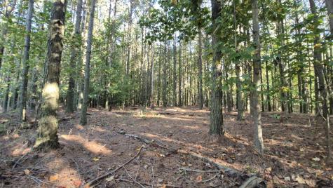 4560 Raulston Falls Road Jasper TN 37347