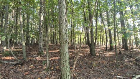 4560 Raulston Falls Road Jasper TN 37347