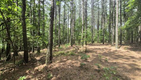 4560 Raulston Falls Road Jasper TN 37347