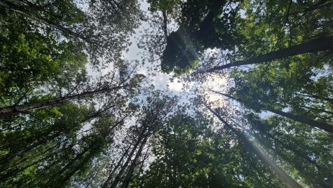 4560 Raulston Falls Road Jasper TN 37347