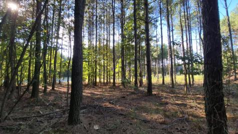 4560 Raulston Falls Road Jasper TN 37347