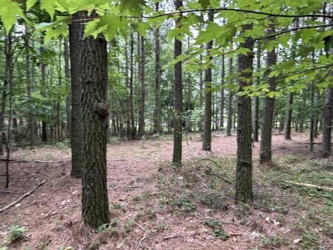 4560 Raulston Falls Road Jasper TN 37347