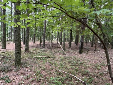 4560 Raulston Falls Road Jasper TN 37347