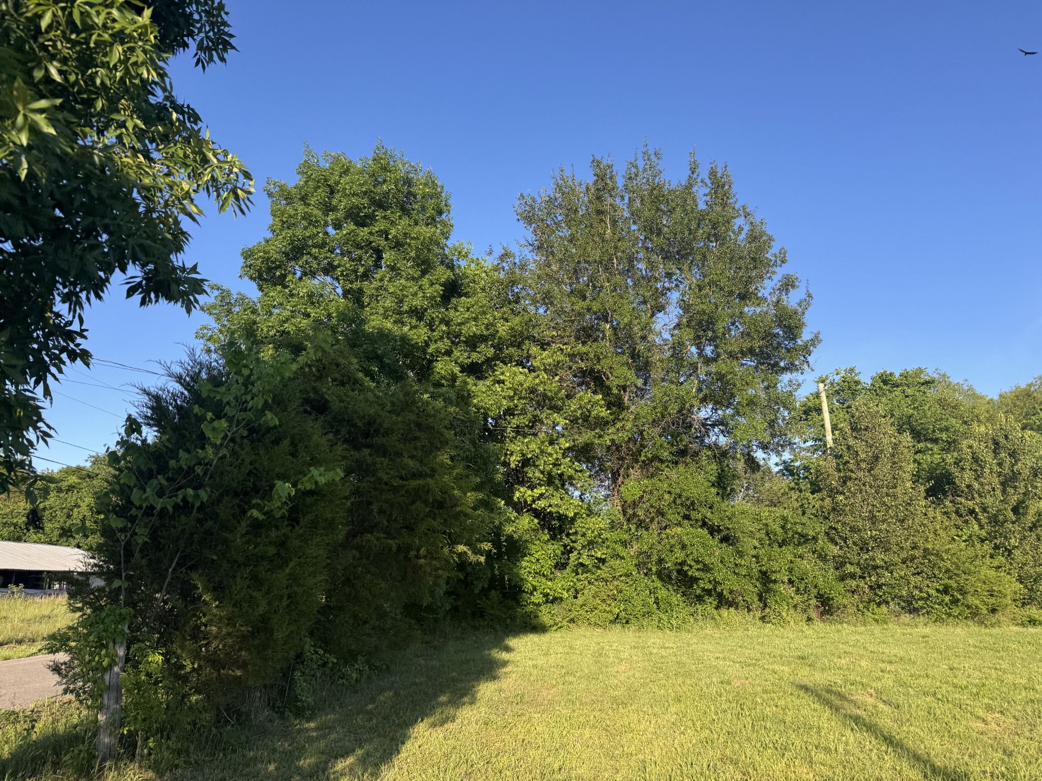 129 John Shaw Road Lewisburg TN 37091