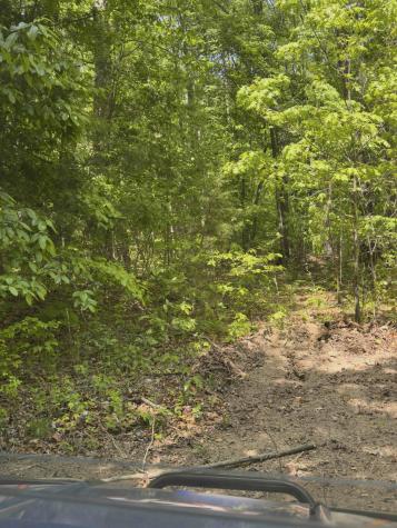 0 Westfork Creek Road Westmoreland TN 37186
