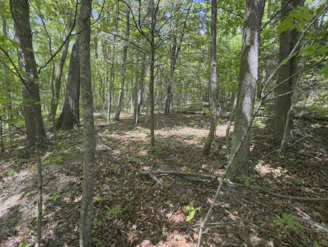 0 Westfork Creek Road Westmoreland TN 37186