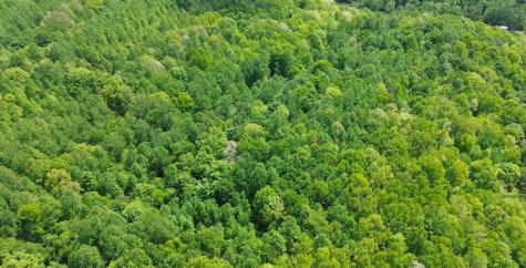 0 Westfork Creek Road Westmoreland TN 37186