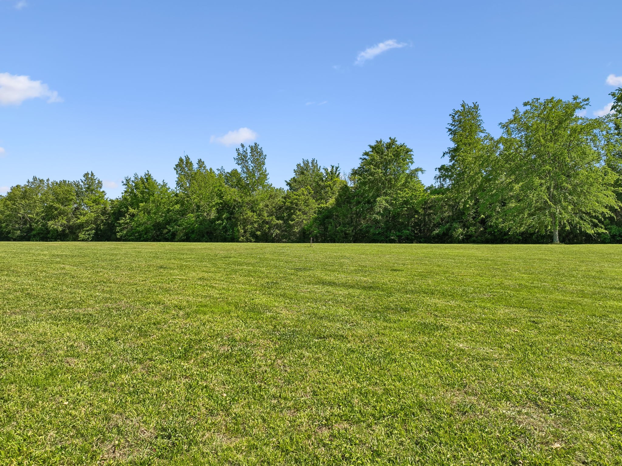 250 Bonwood Drive Murfreesboro TN 37128