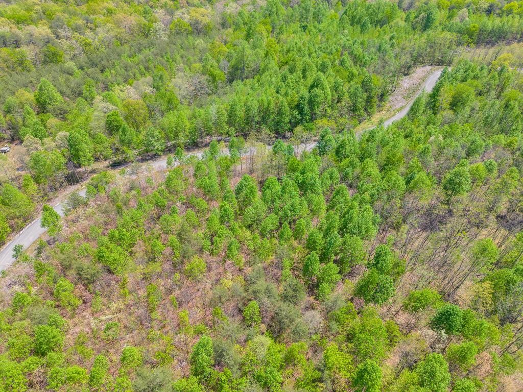 0 Overlook Drive Spencer TN 38585