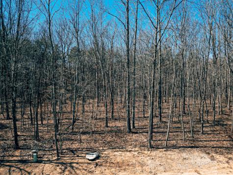 73 Twilight Point Monteagle TN 37356