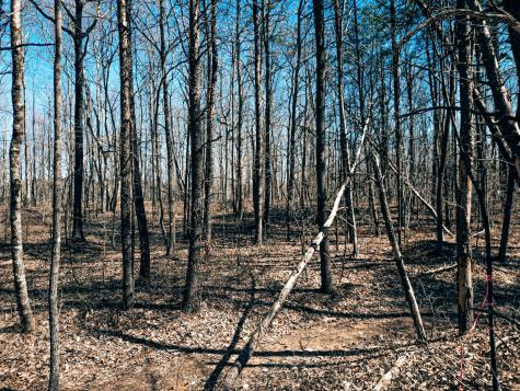 73 Twilight Point Monteagle TN 37356