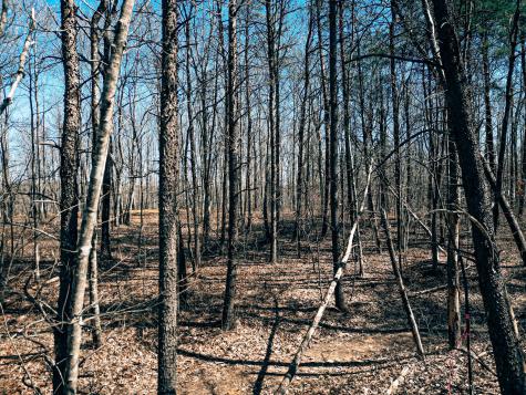 73 Twilight Point Monteagle TN 37356