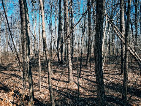 73 Twilight Point Monteagle TN 37356