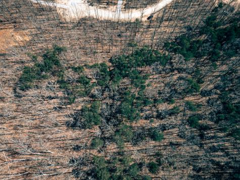 73 Twilight Point Monteagle TN 37356