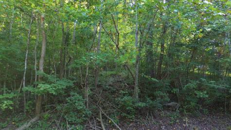 77 Baymont Drive Lancaster TN 38569
