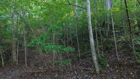 77 Baymont Drive Lancaster TN 38569