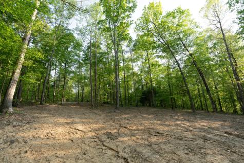 2 Pinewood Road Nunnelly TN 37137