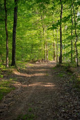 2 Pinewood Road Nunnelly TN 37137