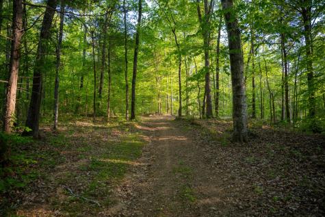 2 Pinewood Road Nunnelly TN 37137