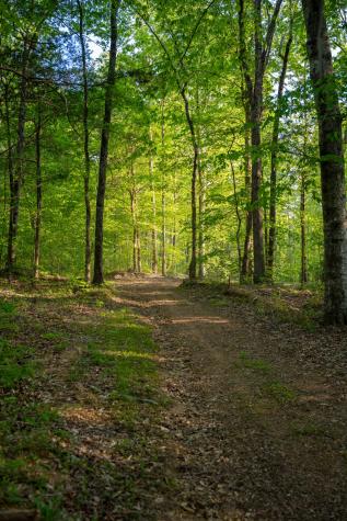 2 Pinewood Road Nunnelly TN 37137