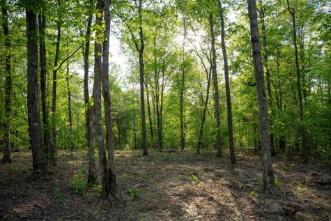 2 Pinewood Road Nunnelly TN 37137