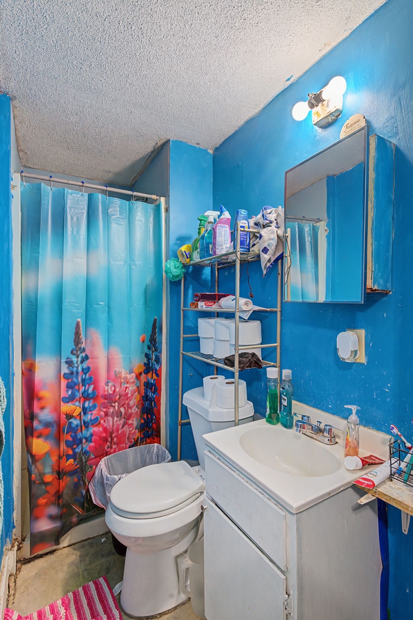 600 5th Avenue E Springfield TN 37172