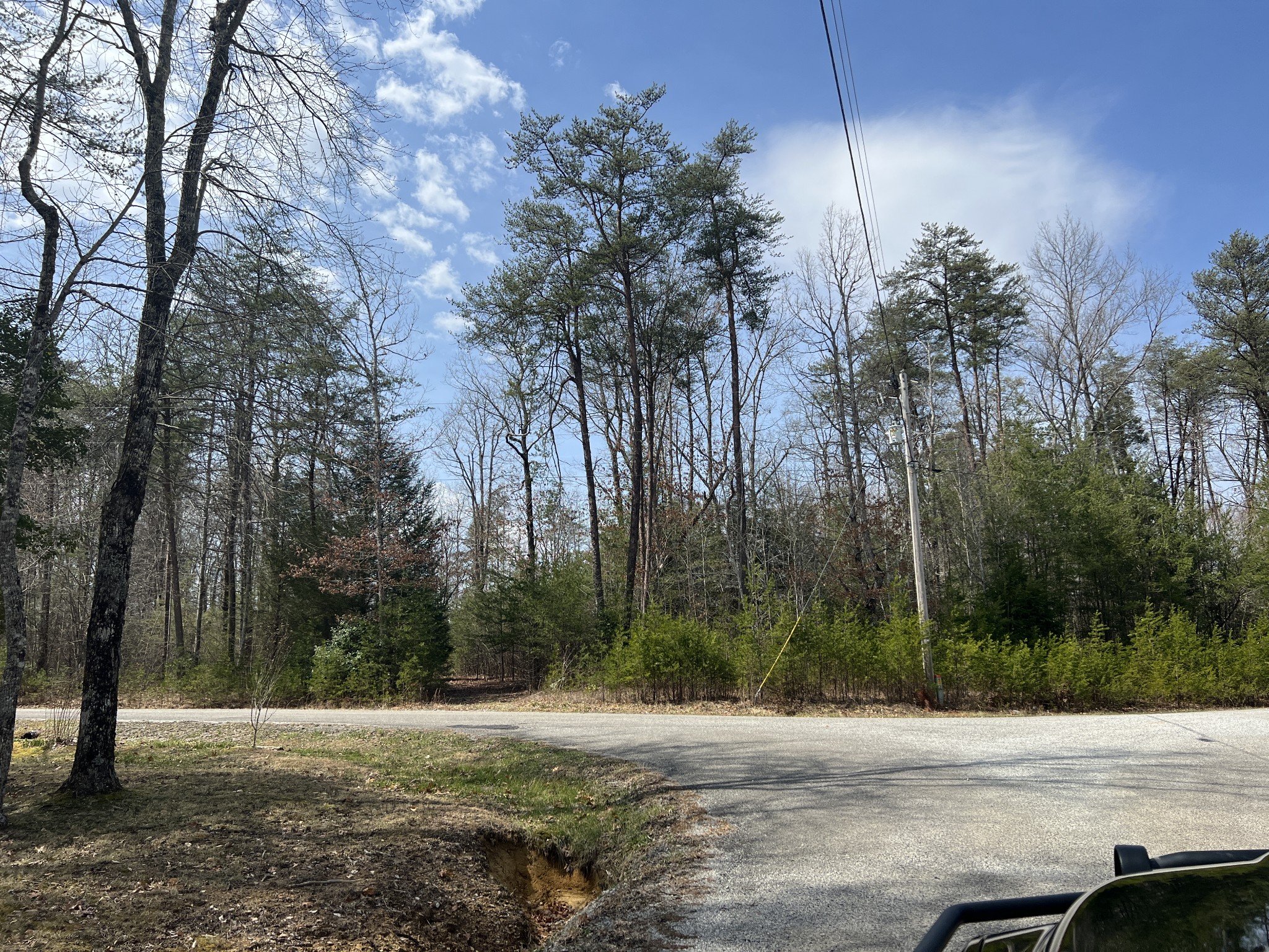 129 Timber Drive Altamont TN 37301