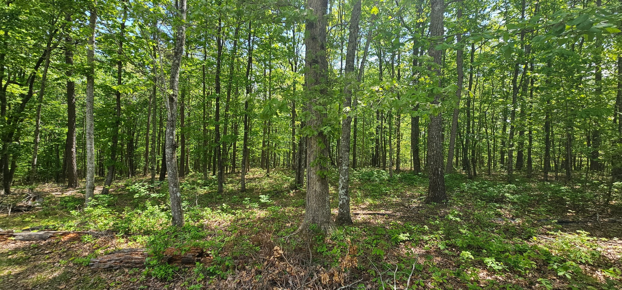 0 Twilight Trail Dunlap TN 37327