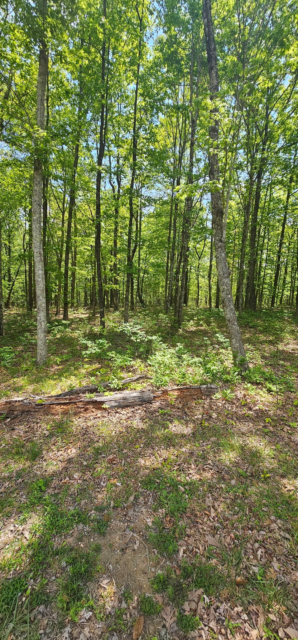 0 Twilight Trail Dunlap TN 37327
