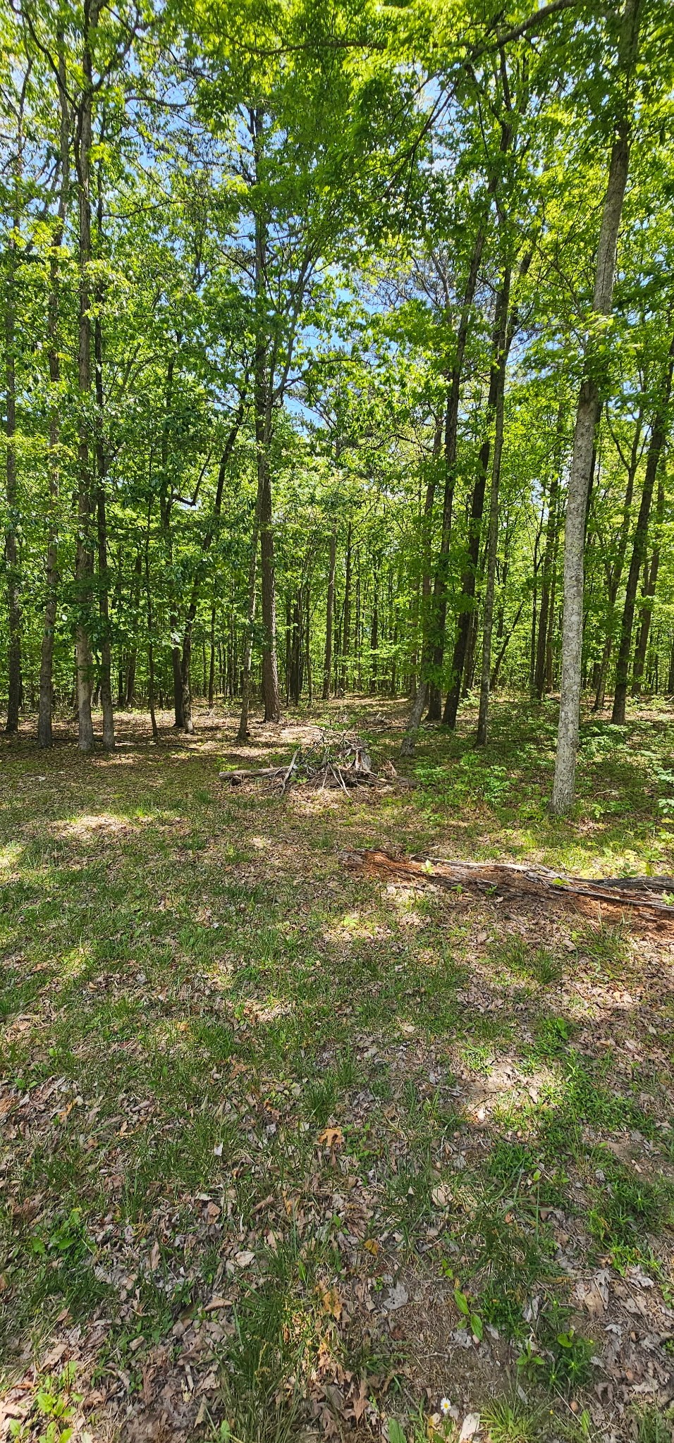 0 Twilight Trail Dunlap TN 37327