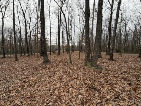 2095 Lake Louisa Loop Monteagle TN 37356