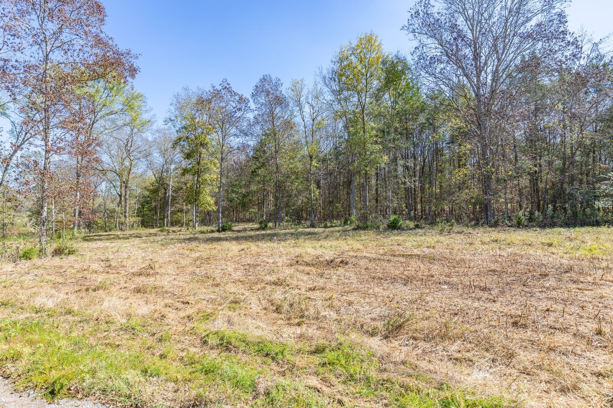 3150 Nonaville Road Mount Juliet TN 37122