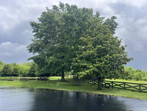 4118 Gordonsville Road Lewisburg KY 42256