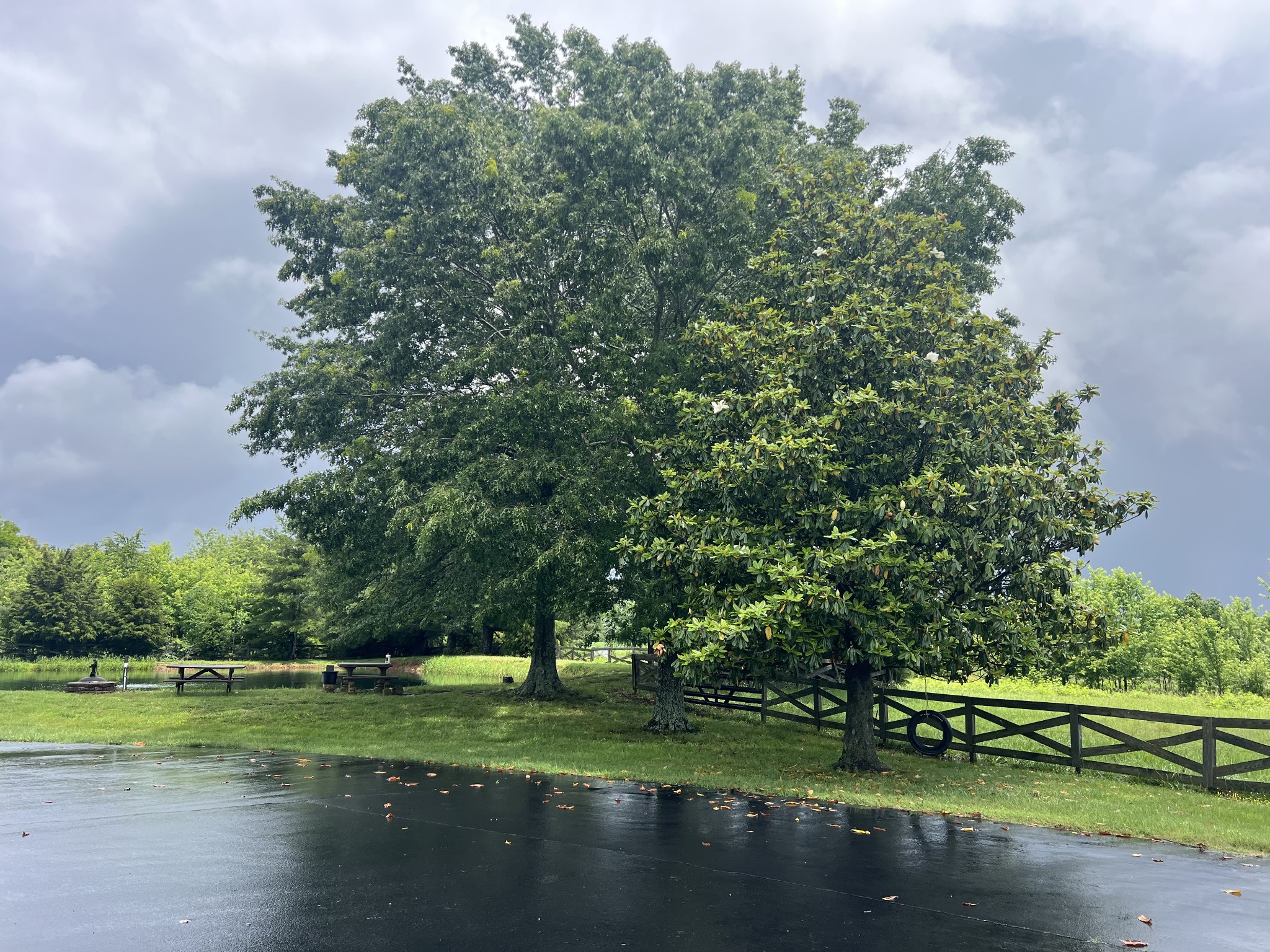 4118 Gordonsville Road Lewisburg KY 42256