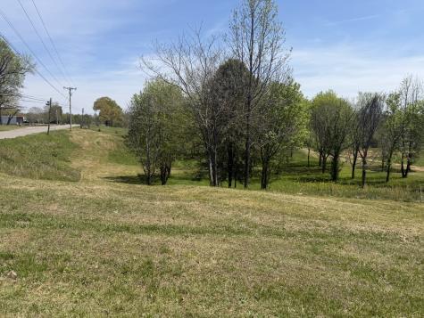 11527 Mcminnville Highway Walling TN 38587