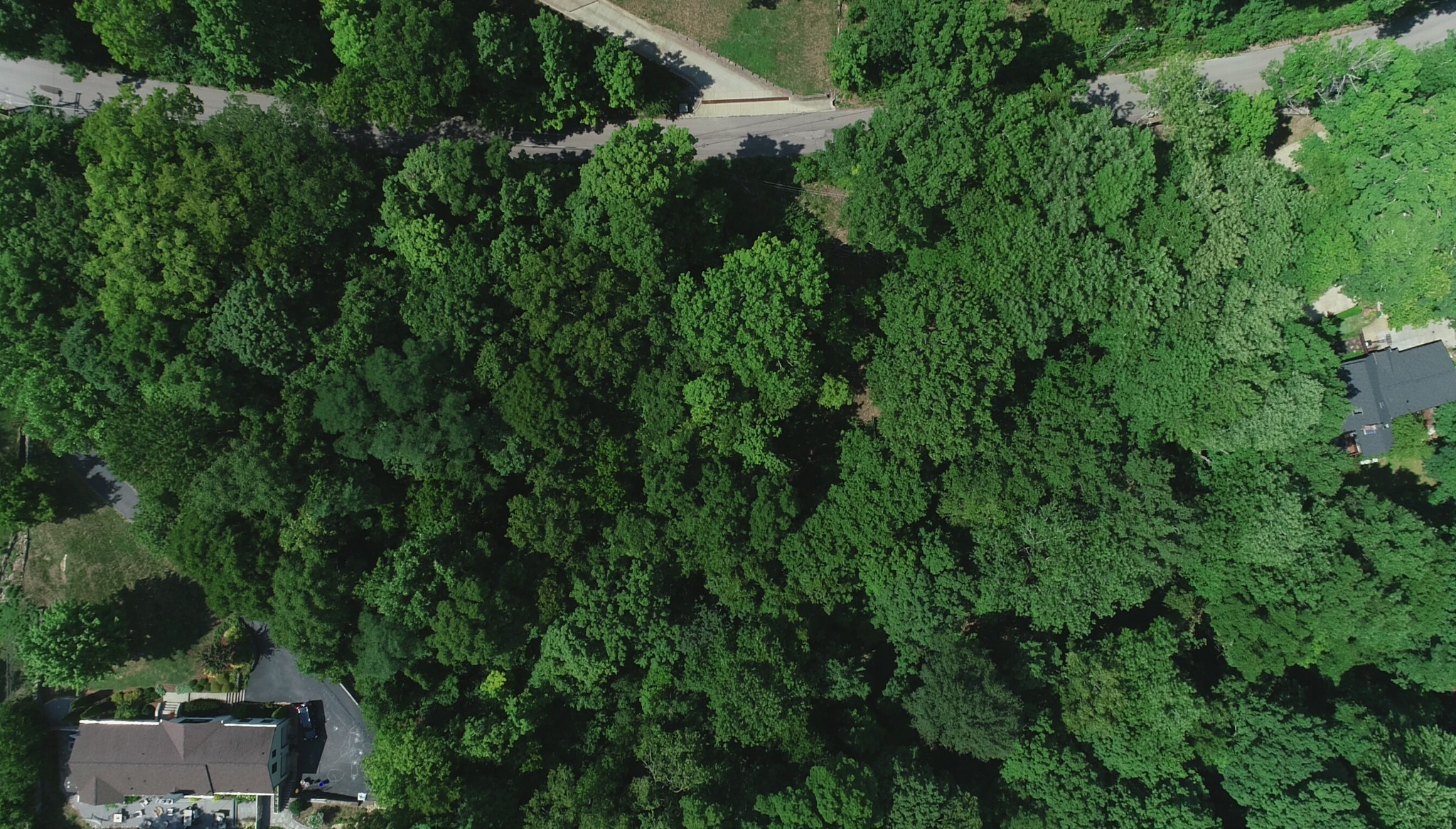 905 Otter Creek Road Nashville TN 37220