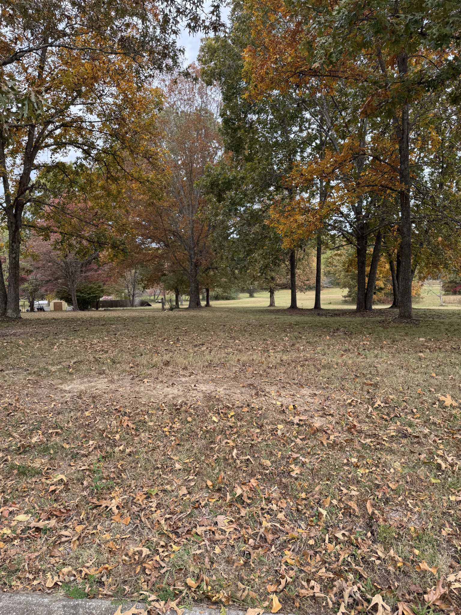 7204 Sweetbriar Lane Fairview TN 37062