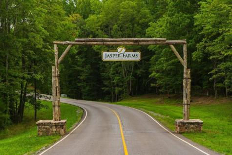 0 Crockett Point Jasper TN 37347