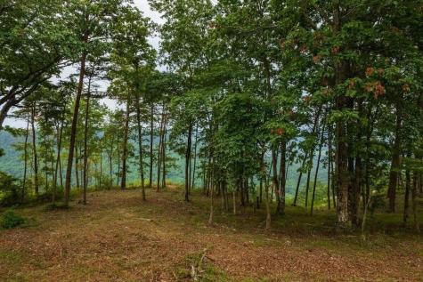 0 Crockett Point Jasper TN 37347
