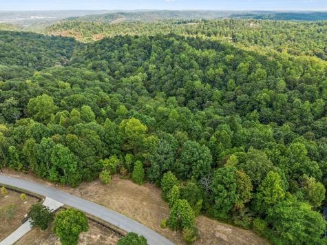 0 Gibbs Road Ashland City TN 37015