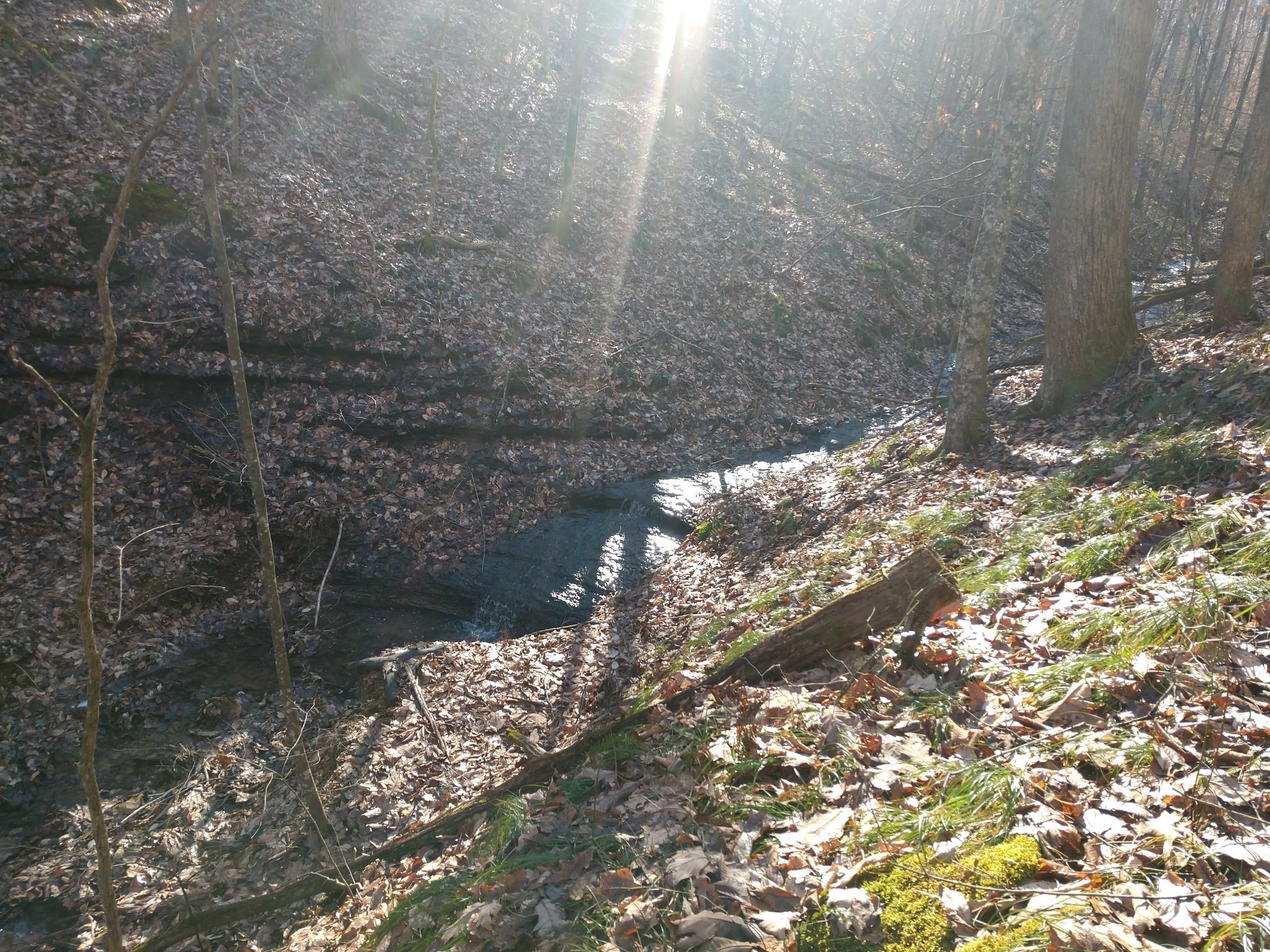 0 Gibbs Road Ashland City TN 37015