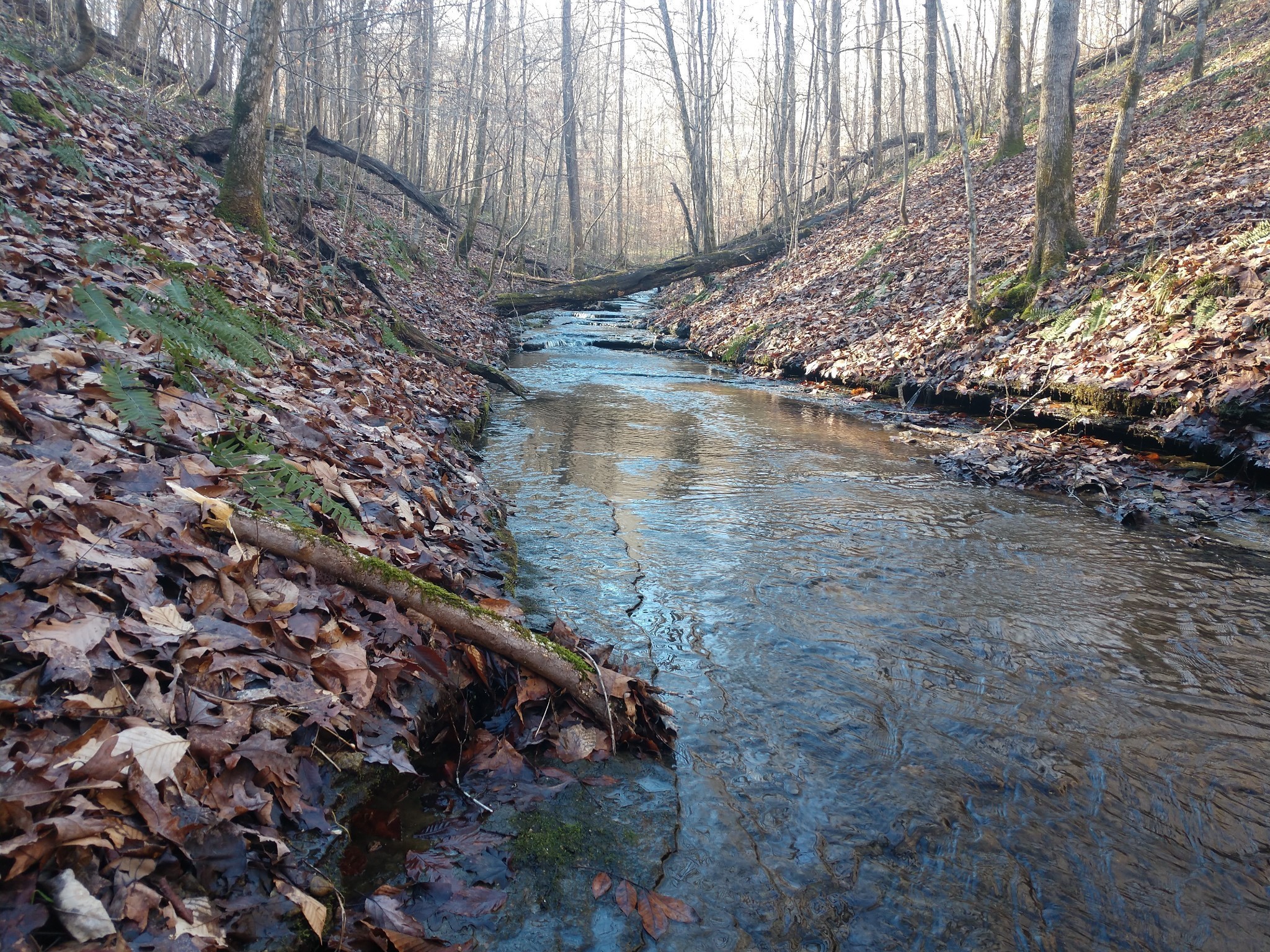0 Gibbs Road Ashland City TN 37015