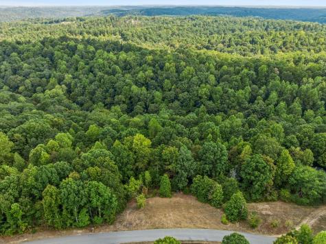 0 Gibbs Road Ashland City TN 37015