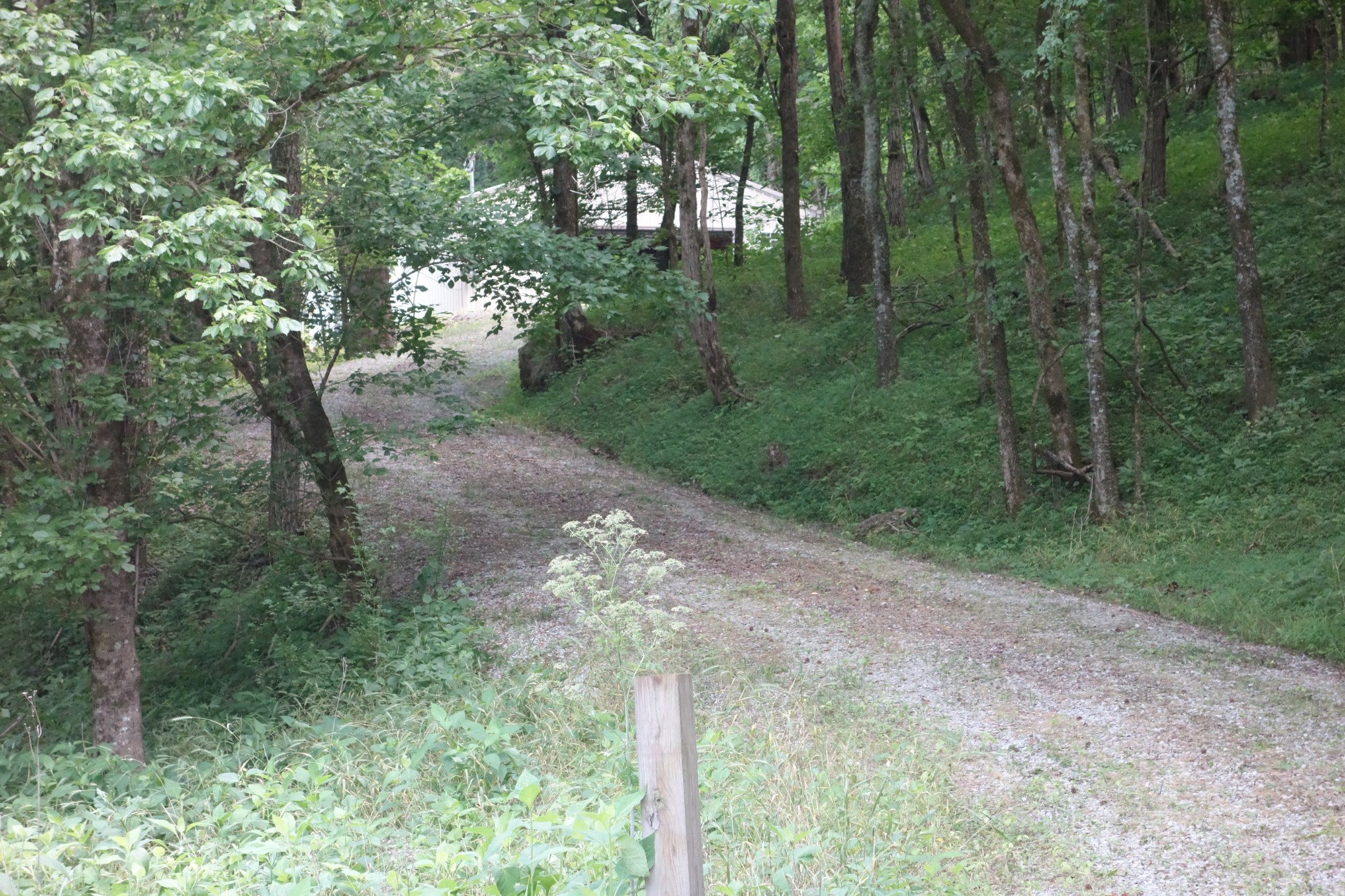 18 York Lane Elmwood TN 38560