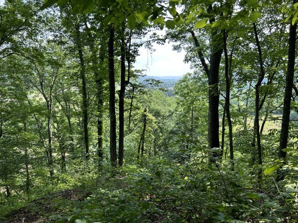 3807 Bear Creek Road Thompsons Station TN 37179