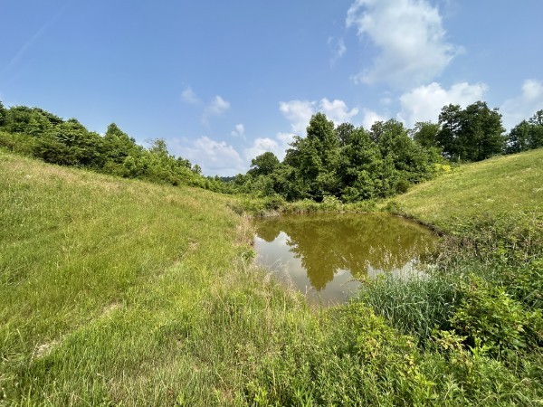3807 Bear Creek Road Thompsons Station TN 37179