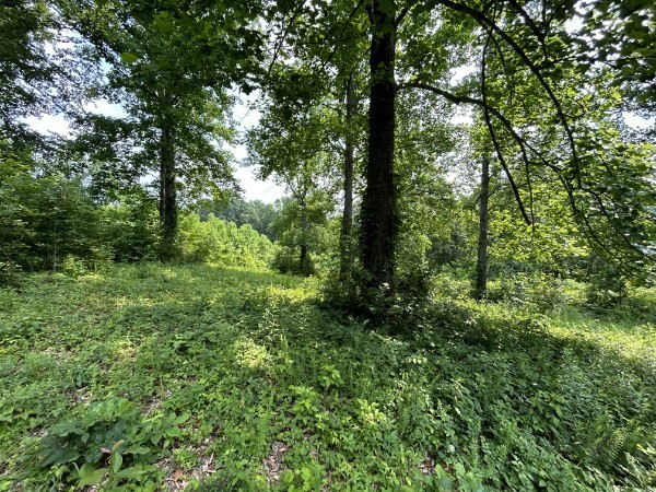 3807 Bear Creek Road Thompsons Station TN 37179