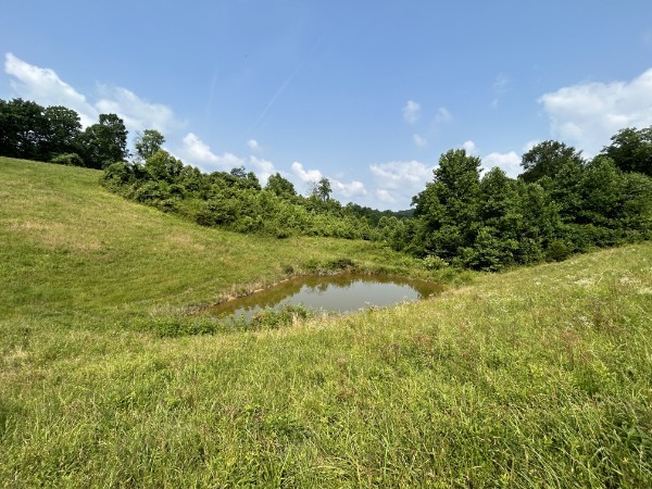 3807 Bear Creek Road Thompsons Station TN 37179